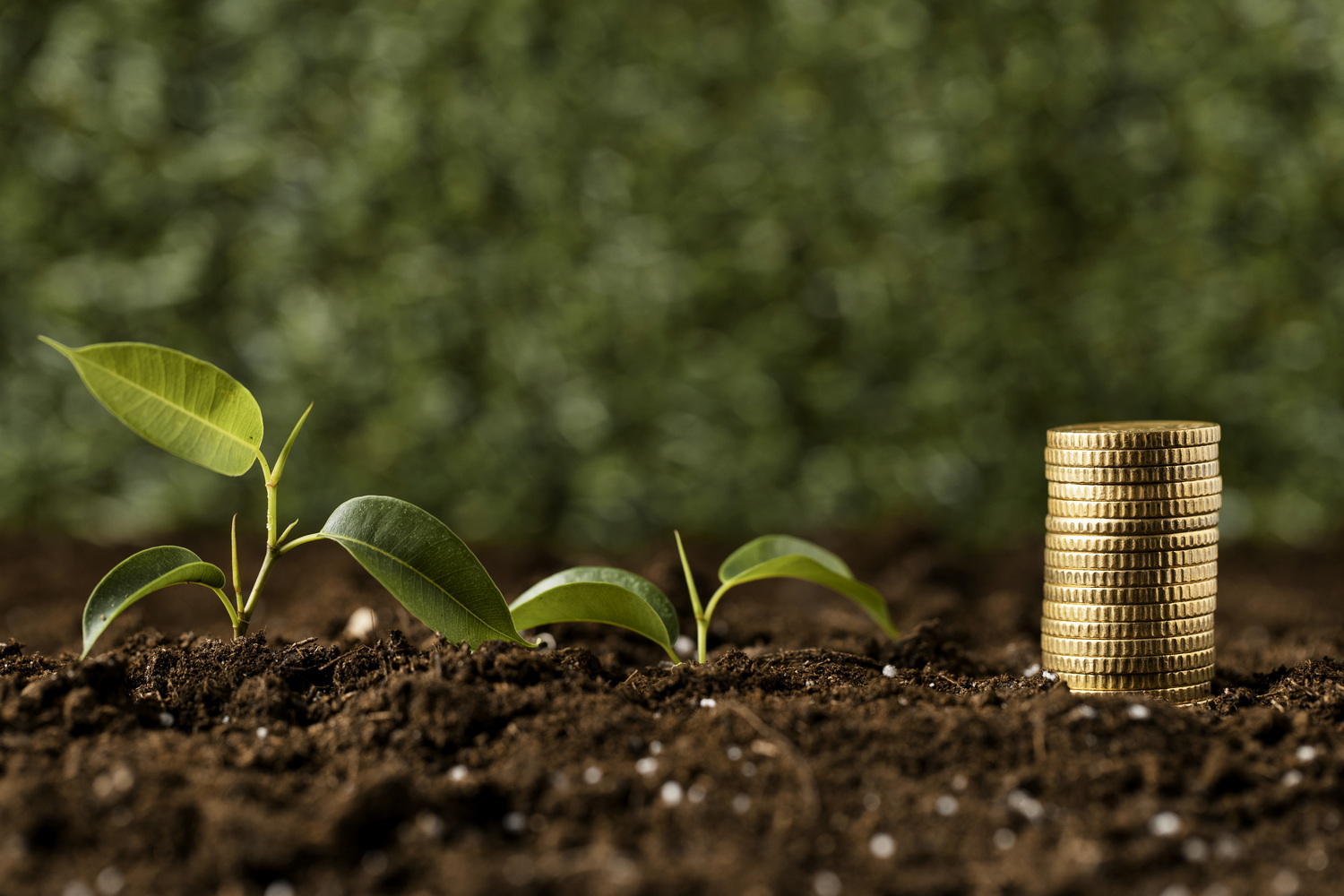 News regarding the Environment Tax